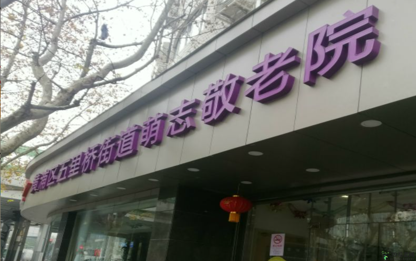 实景图