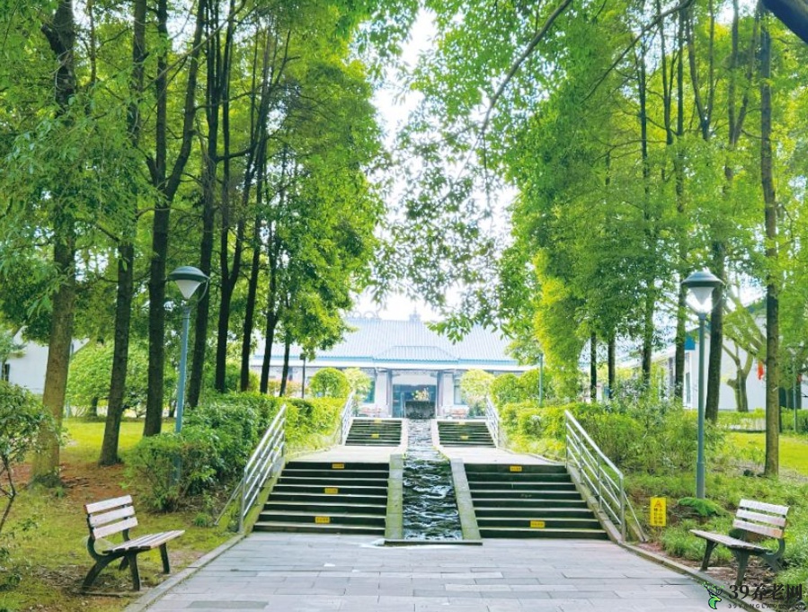 实景图