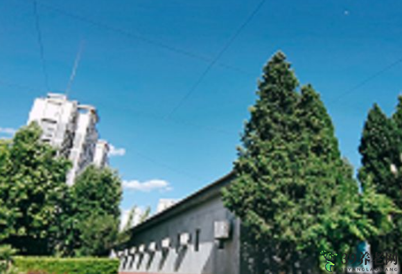 实景图